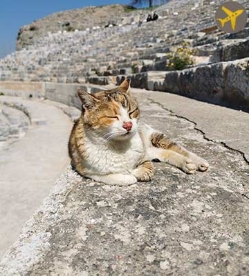 TOUR PRIVADO EFESO PAMUKKALE 2 DIAS CON VUELO